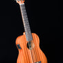 Kala Wanderer Acoustic-Electric U-Bass