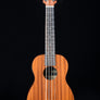 Kala Wanderer Acoustic-Electric U-Bass
