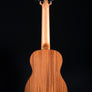 Kala Wanderer Acoustic-Electric U-Bass