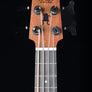 Kala Wanderer Acoustic-Electric U-Bass