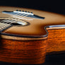 Bedell Revolution Orchestra - Adirondack Spruce/Cocobolo
