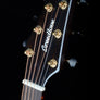 Breedlove Organic Artista Pro Concert Burnt Amber CE