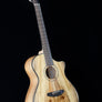 Breedlove Oregon Dreadnought Concerto 12-String CE - Myrtlewood/Myrtlewood