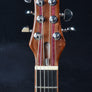 Dineen Shark - Redwood