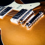 Heritage Standard Collection II H-150 - Limited Edition Gold Top