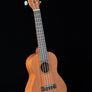 Kala KA-15C Satin Mahogany Concert Ukulele