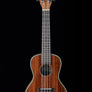 Kala KA-CG Gloss Mahogany Concert Ukulele