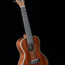 Kala KA-CG Gloss Mahogany Concert Ukulele