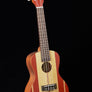 Kala Surf Series Concert Ukulele - Surf's Up