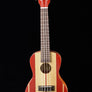 Kala Surf Series Concert Ukulele - Surf's Up