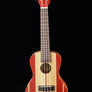 Kala Surf Series Concert Ukulele - Surf's Up