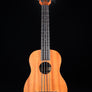 Kala Nomad Acoustic-Electric U-Bass