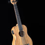 Kala Zebrawood Acoustic-Electric U-Bass