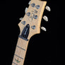PRS SE Swamp Ash Special - Iri Blue