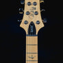 PRS SE Swamp Ash Special - Iri Blue