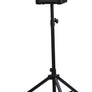 Roland CUBE Street EX Battery-Powered Stereo Amplifier