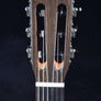 Cordoba Fusion 5 - Natural
