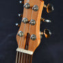 Dineen Copperhead - Trans Green