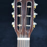 Guild Westerly Collection P-240 Memoir