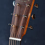 Martin GPC-16E Rosewood
