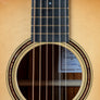 Bedell Revolution Orchestra Adirondack Spruce/Cocobolo - Used