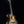 Breedlove USA Oregon Concert Sable CE LTD - Myrtlewood/Myrtlewood