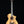 Breedlove USA Oregon Concert CE Special Edition LTD - Rain/Feather Myrtlewood