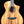 Breedlove USA Oregon Concert CE Special Edition LTD - Rain/Feather Myrtlewood