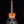 Gold Tone Paul Beard Signature Series PBS Resonator