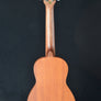 Kala KA-15C Satin Mahogany Concert Ukulele