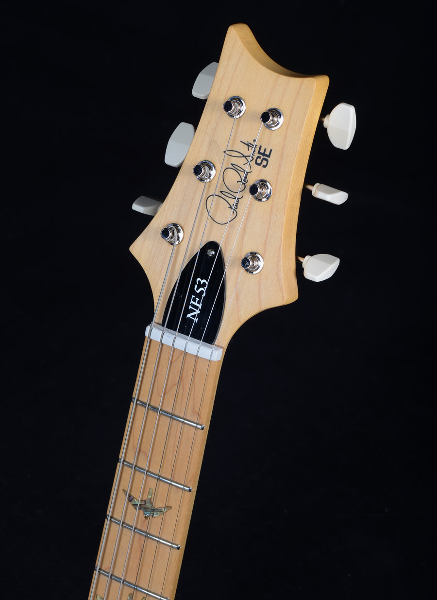 PRS SE NF 53 - Black Doghair