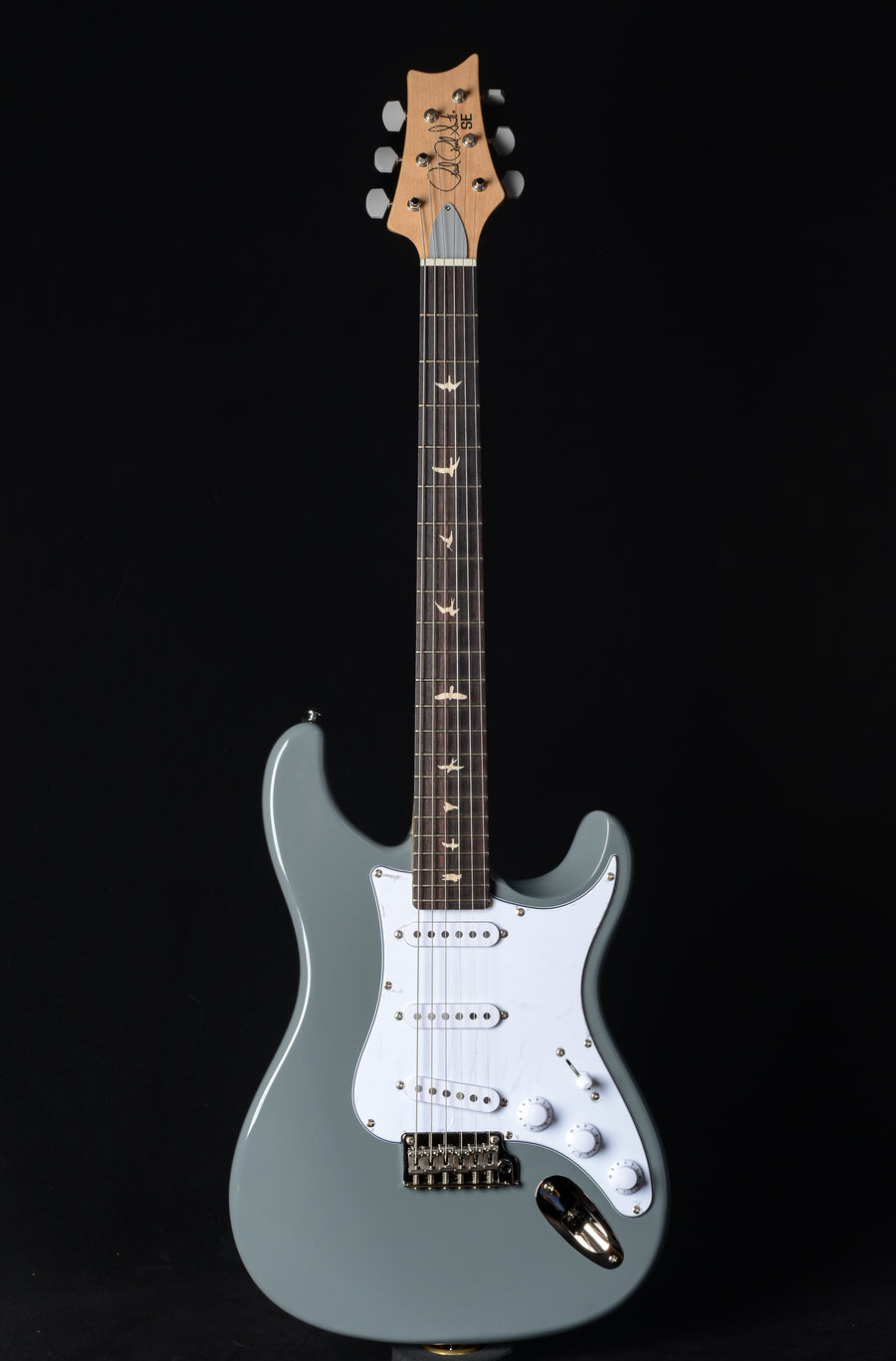 PRS SE Silver Sky - Storm Gray