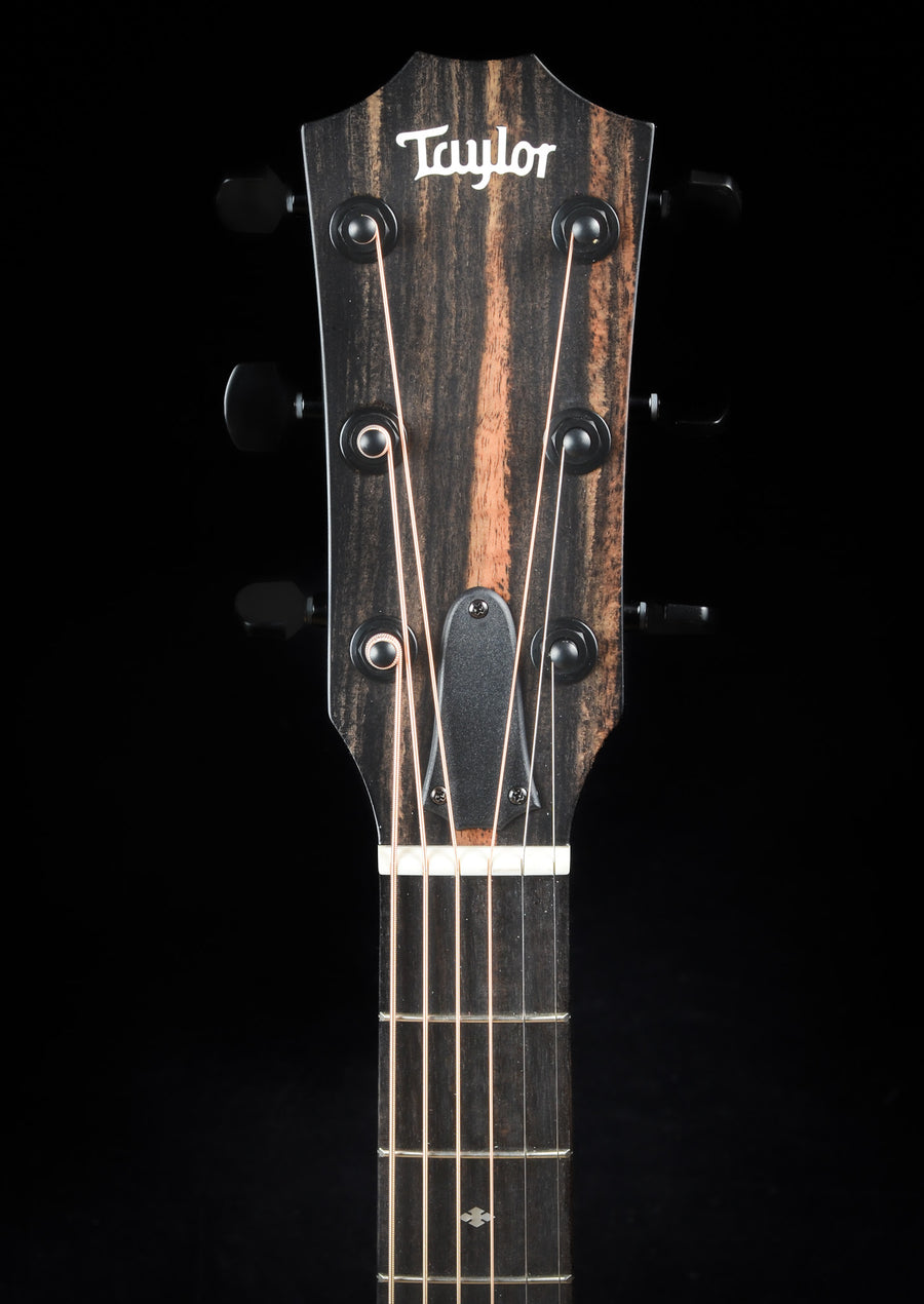 Taylor 214ce DLX LTD - Trans Blue
