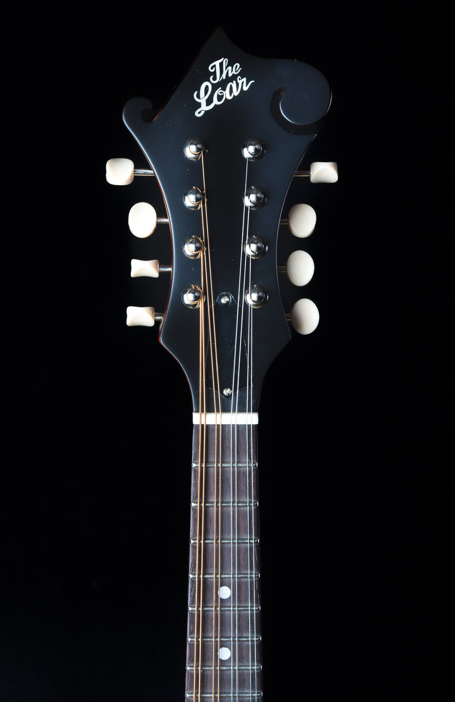 The Loar Contemporary Series LM-590-MS