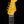 TopHat Stratavarius with Double Humbuckers - Metallic Blue