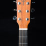 Teton STS10NT Dreadnought - Used