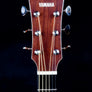 Yamaha A5M ARE - Vintage Natural