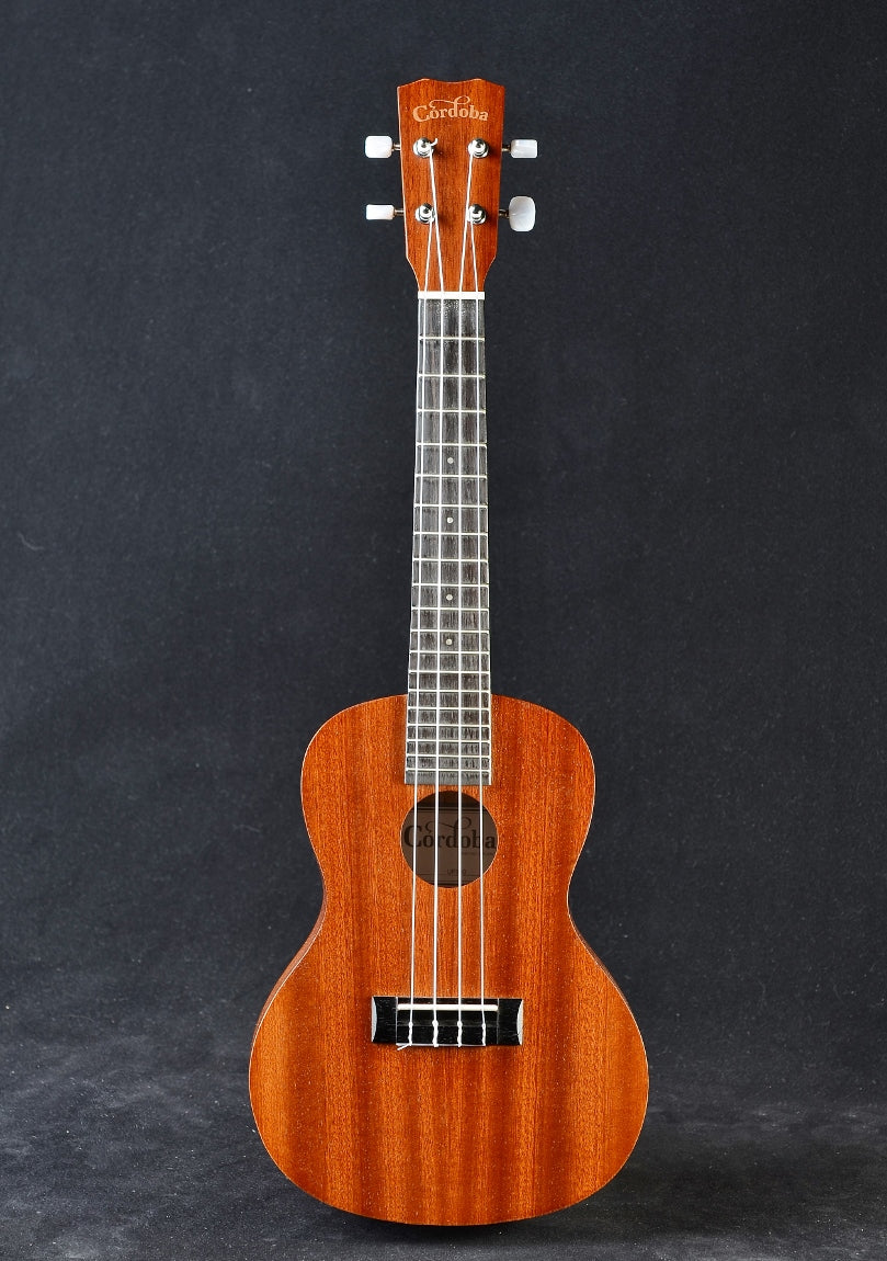 Cordoba up100 concert ukulele top