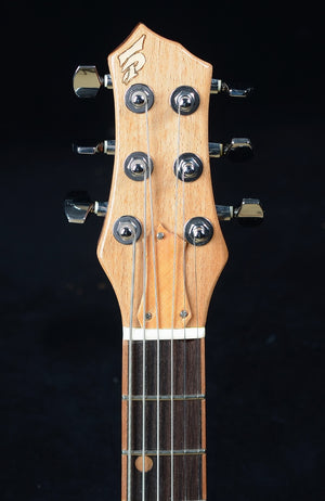 Dineen Raeven Hollowbody Travel King - Used