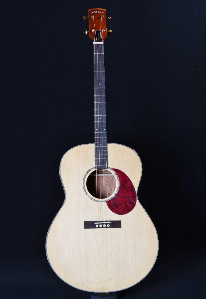 Gold Tone Mastertone TG 18 Tenor Guitar Harry s Guitar Shop