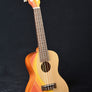 Kala Surf Series Concert Ukulele - Swell