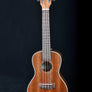 Kala KA-CG Gloss Mahogany Concert Ukulele