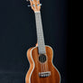 Kala KA-CG Gloss Mahogany Concert Ukulele