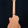 Kala Scout Acoustic-Electric U-Bass