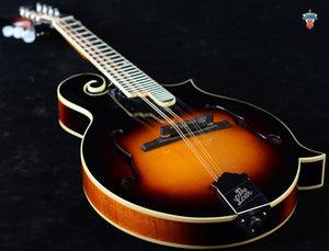 The Loar Performer Series LM-520-VS