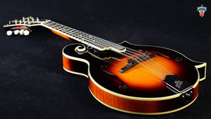 The Loar Professional Series LM-600-VS
