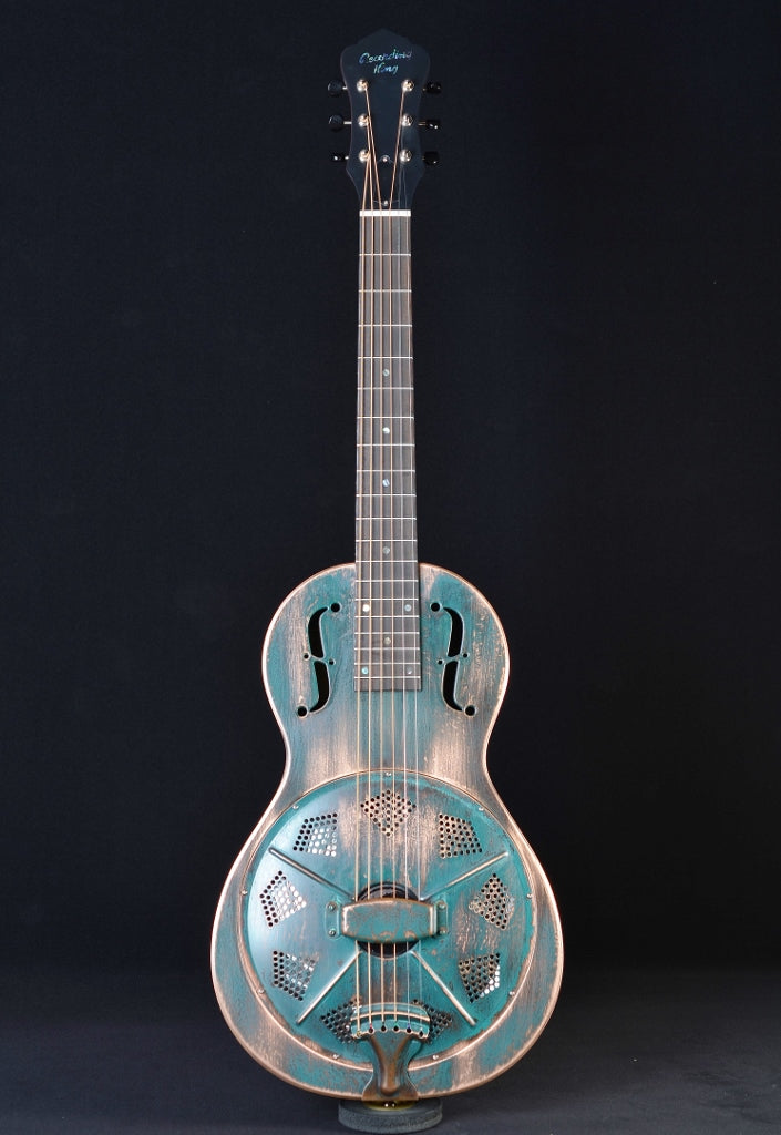 Recording King RM 993 VG Style Parlor Swamp Dog Resonator